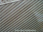 Gare des Guillemins te Luik - 20 x 16 cm (22 blz.)
